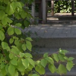 Treppe
