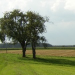 archäologischer Wanderweg