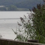 Reichenau