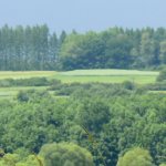 Landschaft