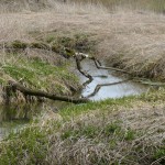 kleiner Zufluss