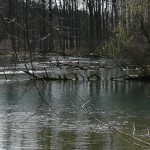 Zusammenfluss