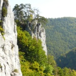 Neumühle