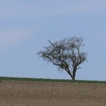 Landschaft