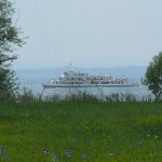 Schiff im Blütenmeer