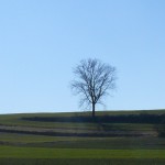 Schwarzachtalseen