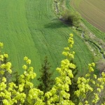 das Fehla-Tal