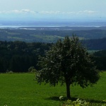 der Höchsten