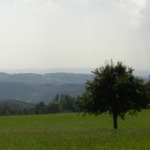 der Höchsten