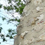 In der Ruine