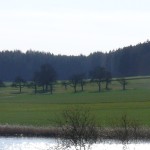 Lausheimer Weiher