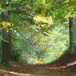 Weg zum Missionsberg