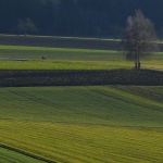 Missionsberg