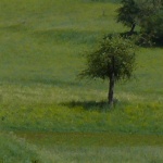 Landschaft bei Menningen
