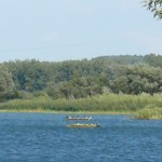 Vogelparadies